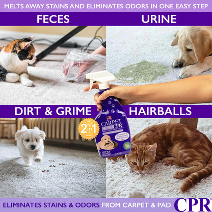 Carpet CPR Pet Stain & Odor Remover 32oz 2-Pack